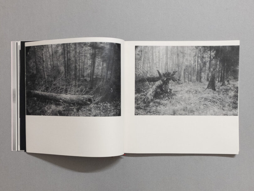 DSCF1206postnondeff6_6_1