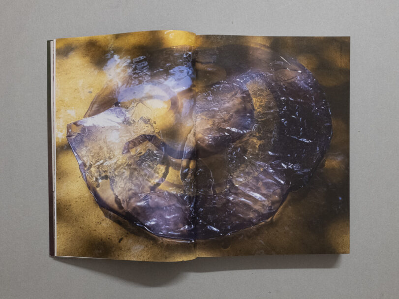 Michael_Be like water