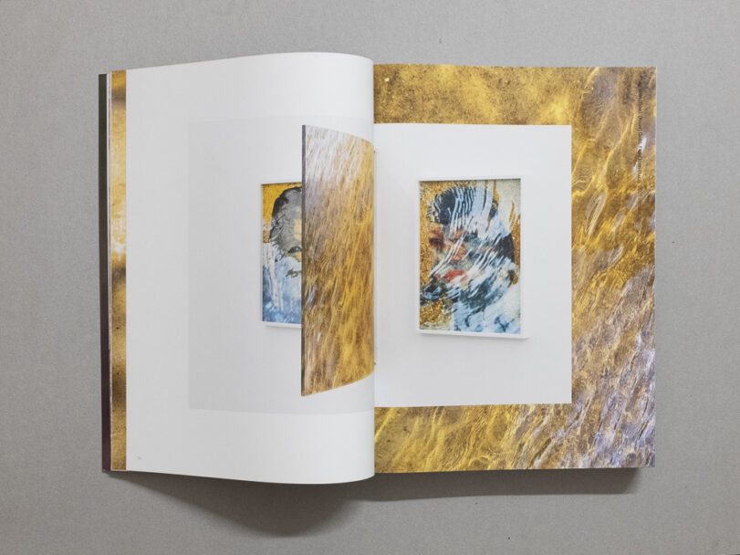 Michael_Be like water_1