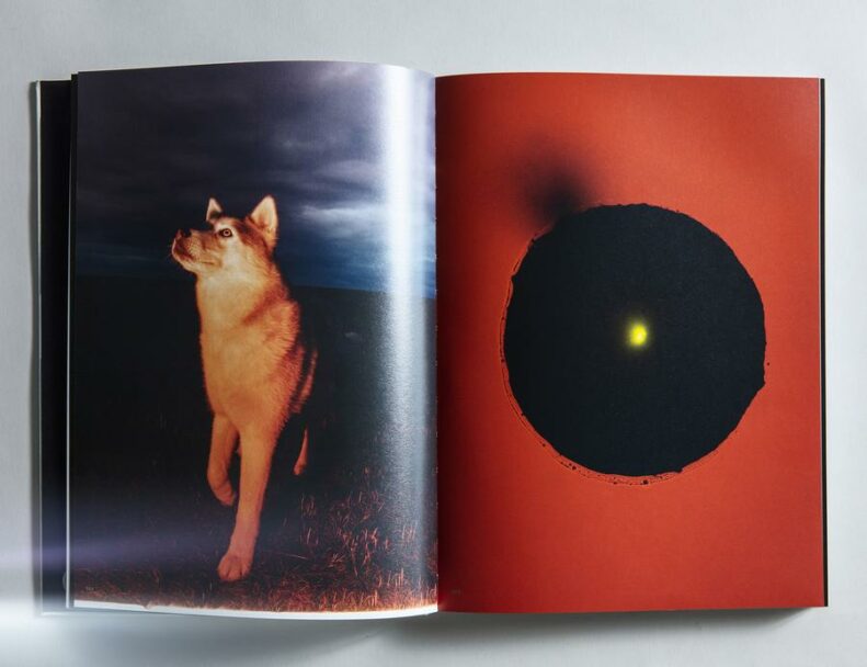 balsamini_witty_progetenoctem006-copia