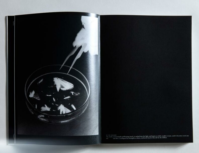 balsamini_witty_progetenoctem008-copia