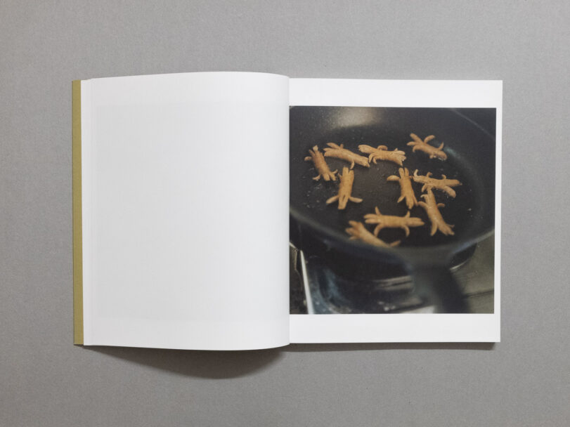 enrica_brogna_small myths_1