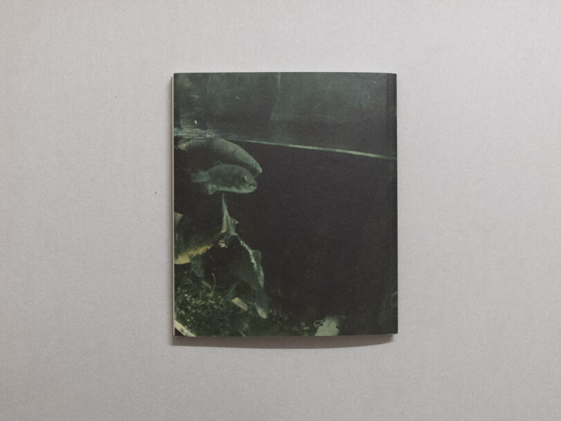 enrica_brogna_small myths_8