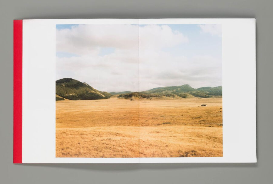 i_had_to_shed_my_skin4_2