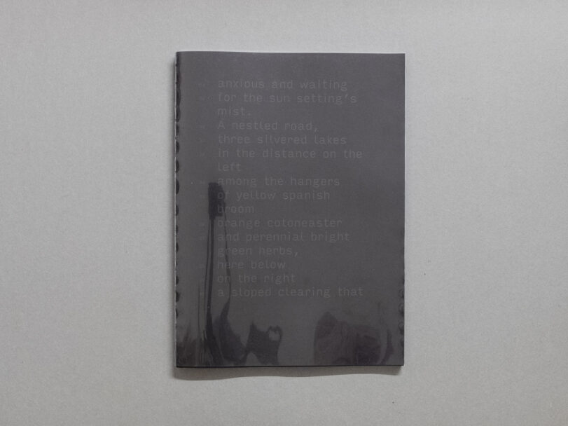 enrica_brogna_snaturamenti