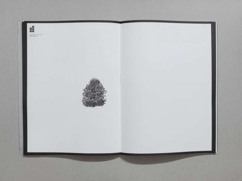 enrica_brogna_snaturamenti_8