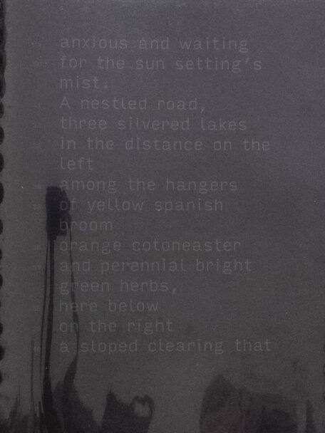 enrica_brogna_snaturamenti_9