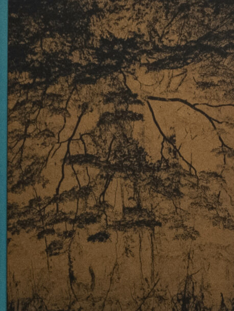 AllTheWhisperingsOfTheWorld_Beatrice