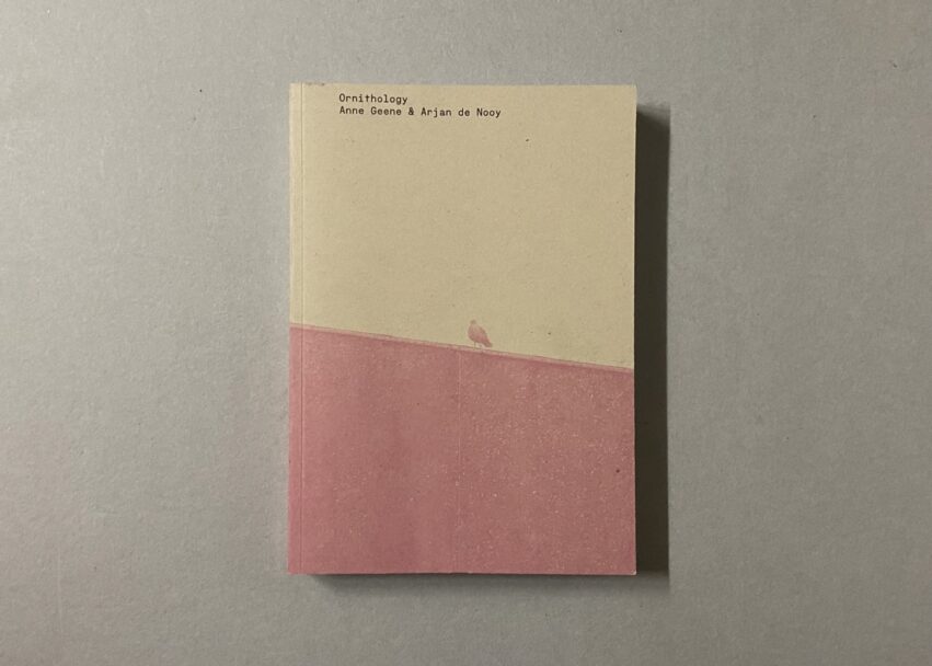 IMG_3177 - dimensioni grandi