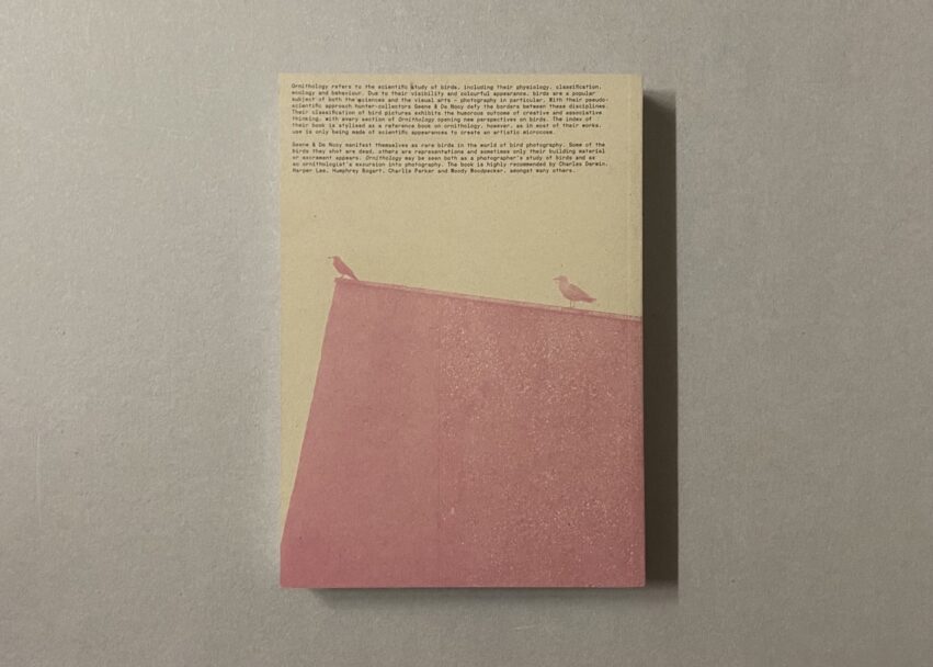 IMG_3179 - dimensioni grandi