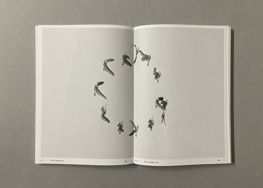 IMG_3180 - dimensioni grandi