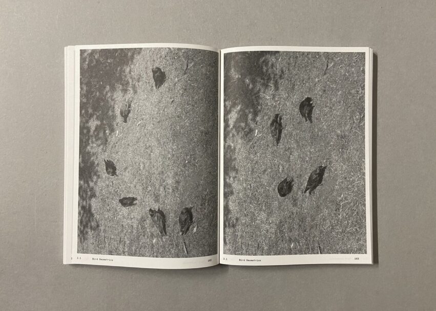 IMG_3181 - dimensioni grandi