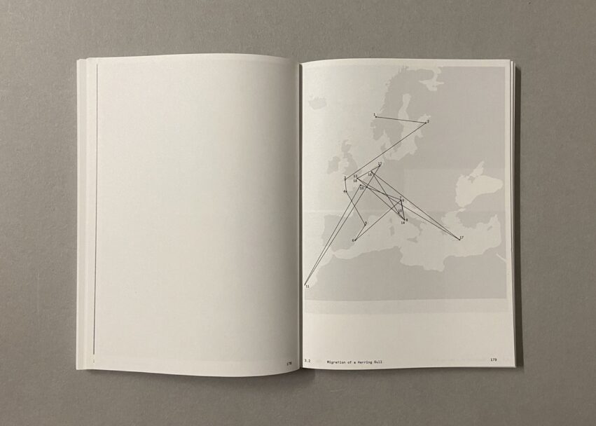 IMG_3182 - dimensioni grandi