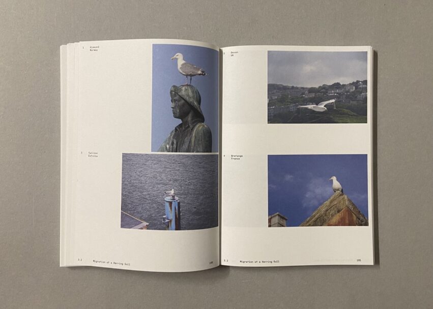 IMG_3183 - dimensioni grandi