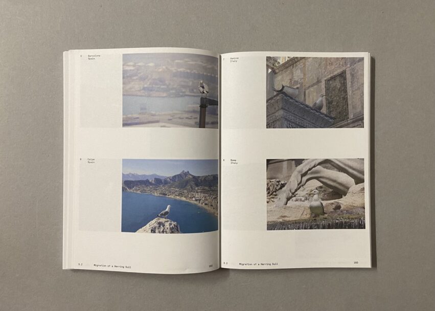 IMG_3184 - dimensioni grandi