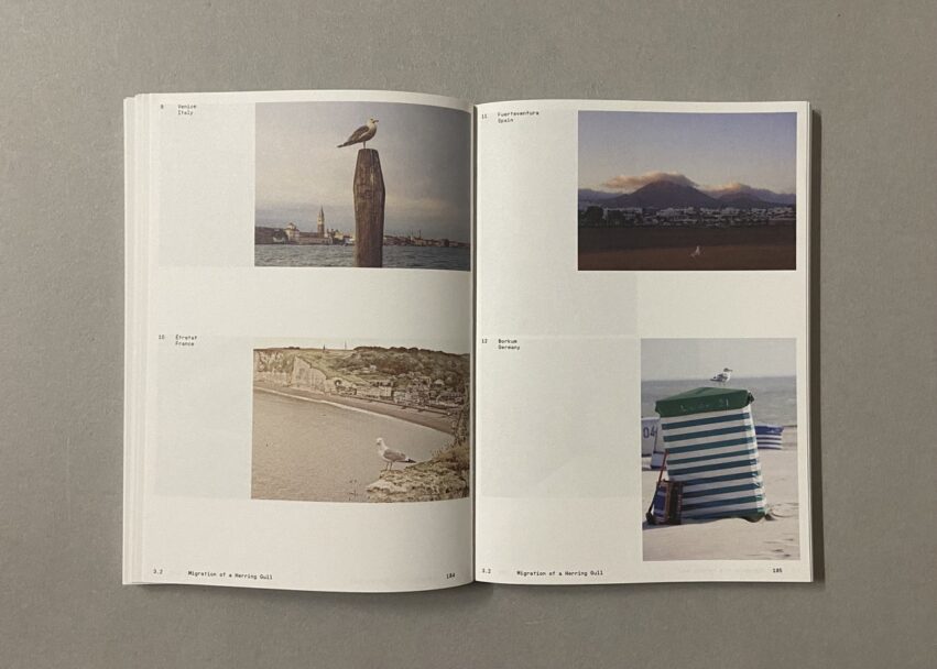 IMG_3185 - dimensioni grandi