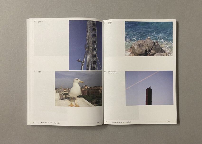 IMG_3186 - dimensioni grandi