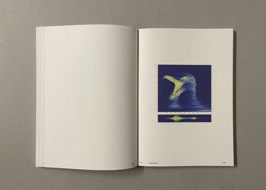 IMG_3187 - dimensioni grandi