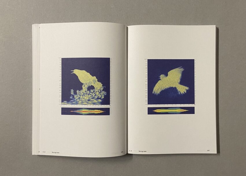 IMG_3188 - dimensioni grandi