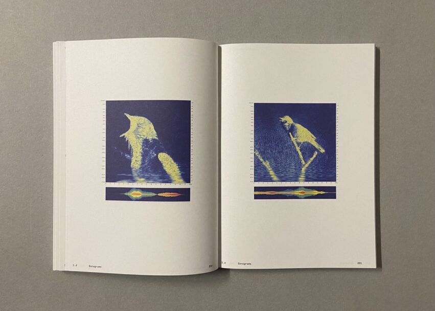 IMG_3189 - dimensioni grandi