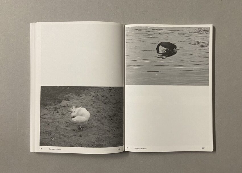 IMG_3190 - dimensioni grandi