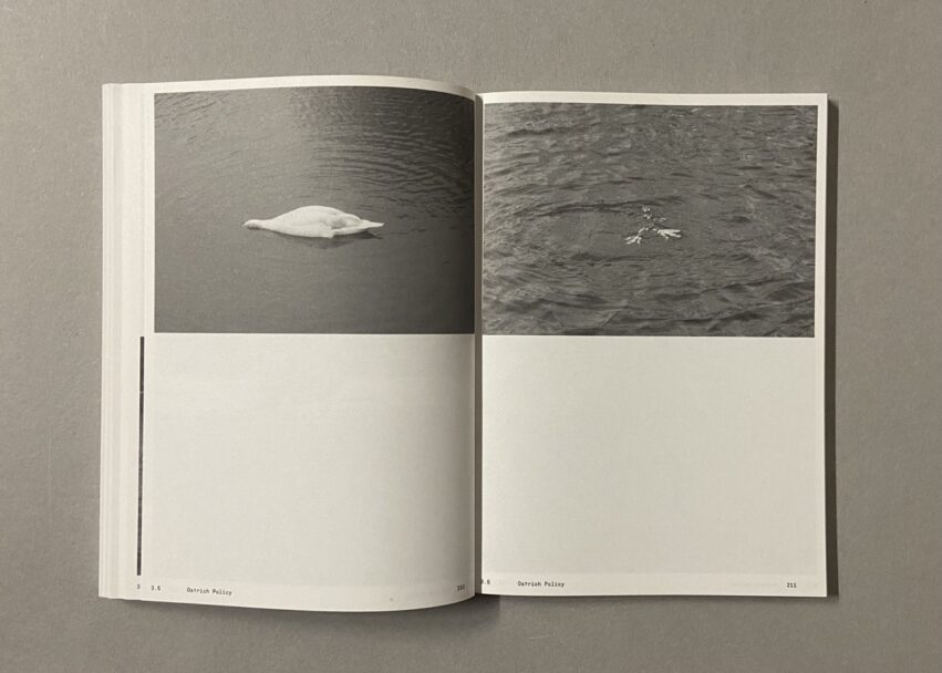 IMG_3191 - dimensioni grandi