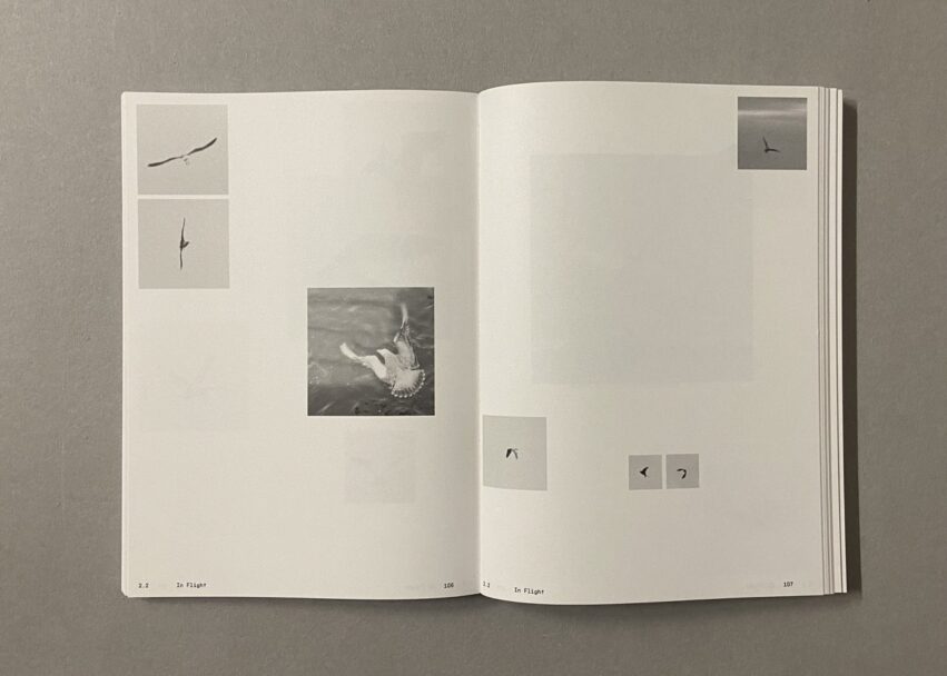 IMG_3192 - dimensioni grandi