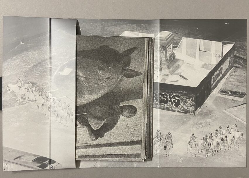 IMG_3212 - dimensioni grandi 2