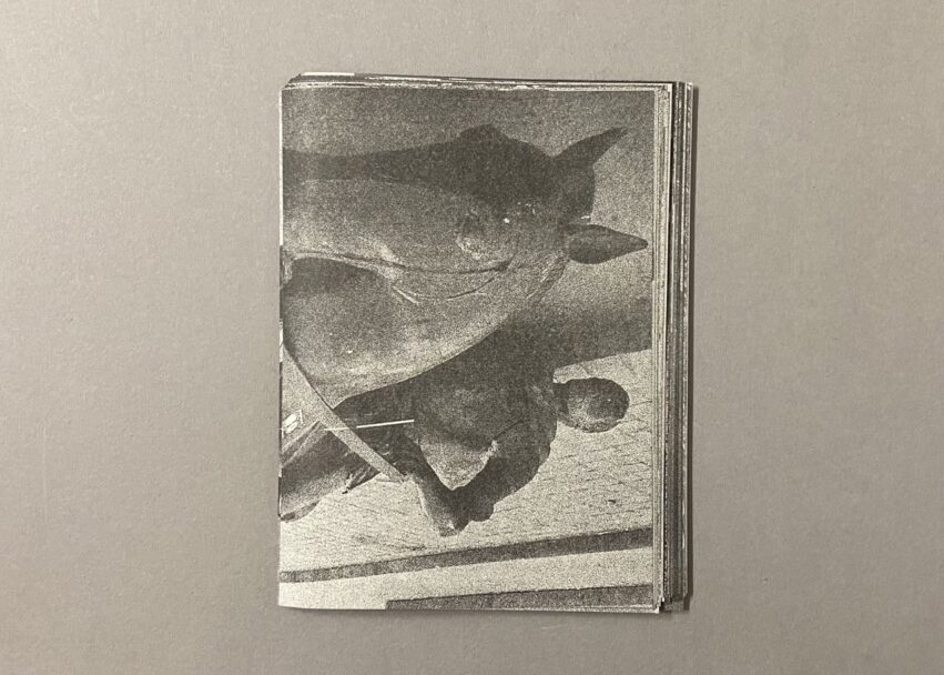 IMG_3213 - dimensioni grandi 2