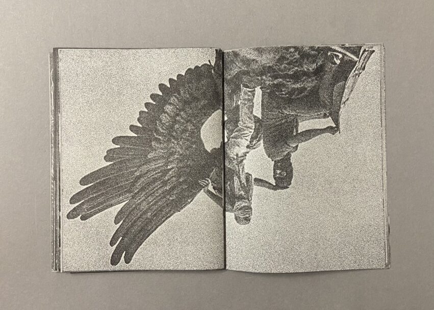 IMG_3219 - dimensioni grandi 2