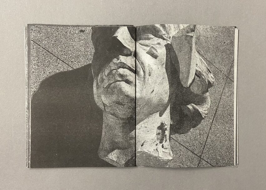 IMG_3222 - dimensioni grandi 2