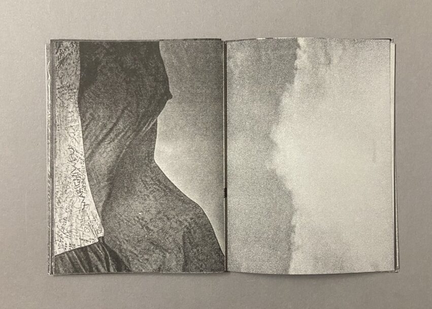 IMG_3223 - dimensioni grandi 2