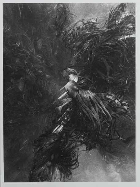 InitiumMaris_NicolasFloch's_BeatricePuddu_1