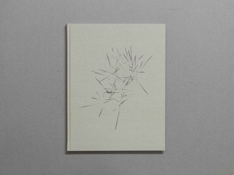 On nous a dit qu’il n’y avait rien et nous sommes allés le chercher_beatrice