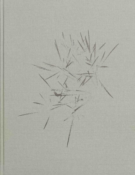 On nous a dit qu’il n’y avait rien et nous sommes allés le chercher_beatrice_1