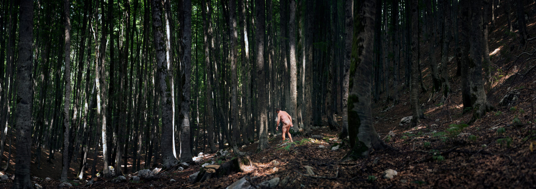 milza_3_jacopo_paglione