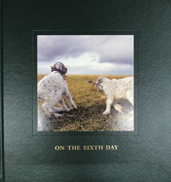 AlessandraSanguinetti_Onthesixthday_BeatricePuddu