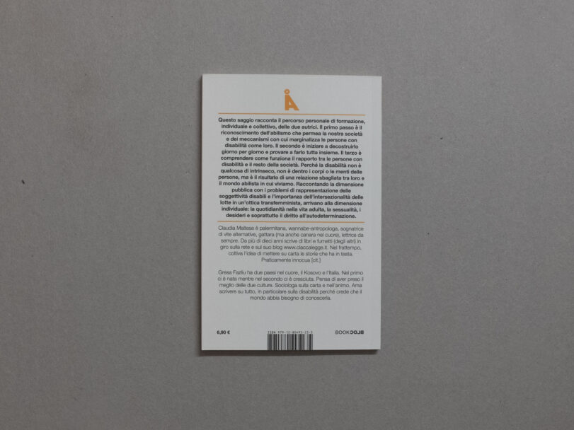 DecostruzionistaAntiabilista_BeatricePuddu_1