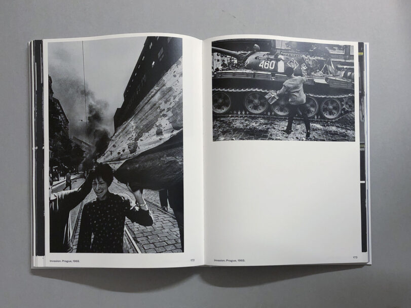 Ikonar_BeatricePuddu_10