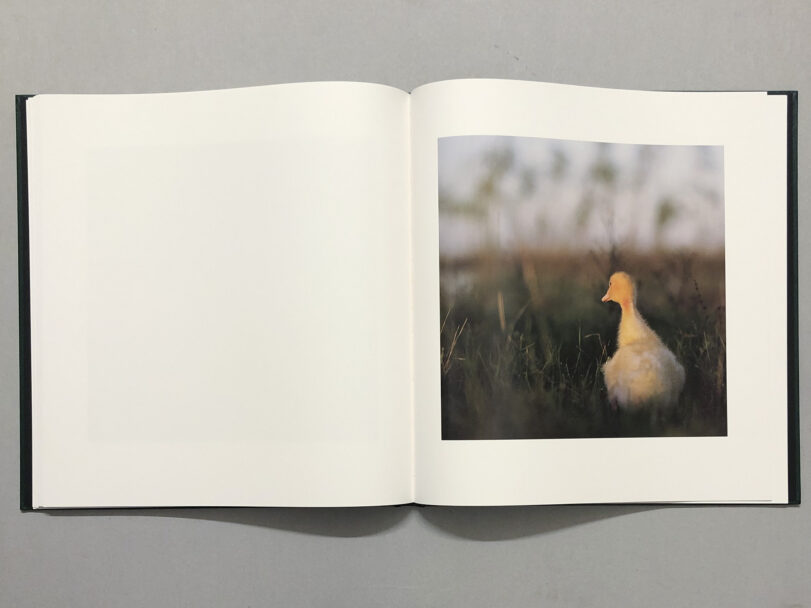 OnTheSixthDay_BeatricePuddu_11