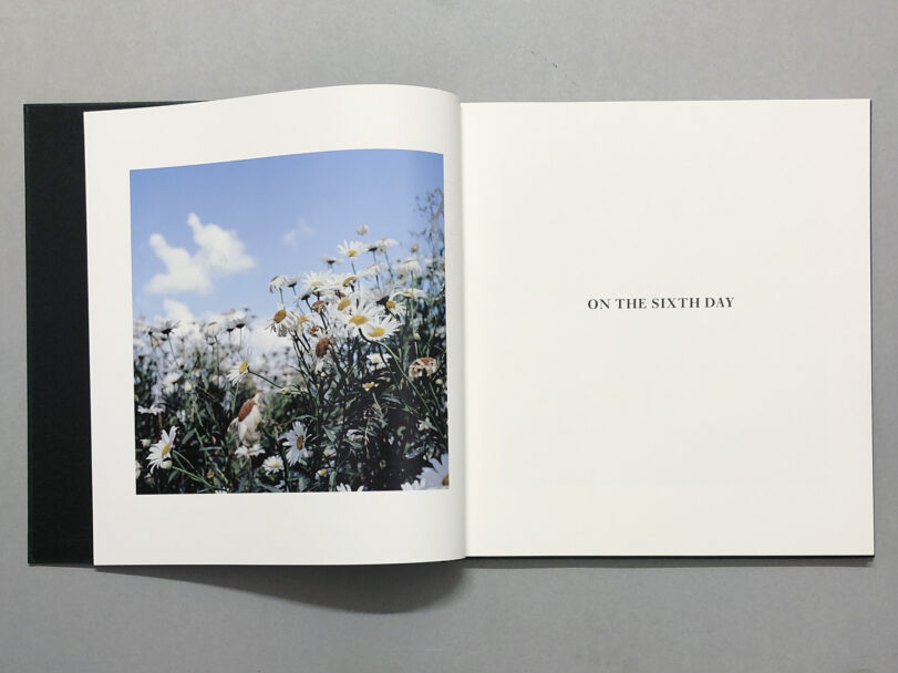 OnTheSixthDay_BeatricePuddu_2