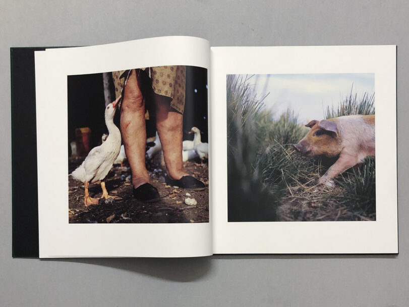 OnTheSixthDay_BeatricePuddu_3