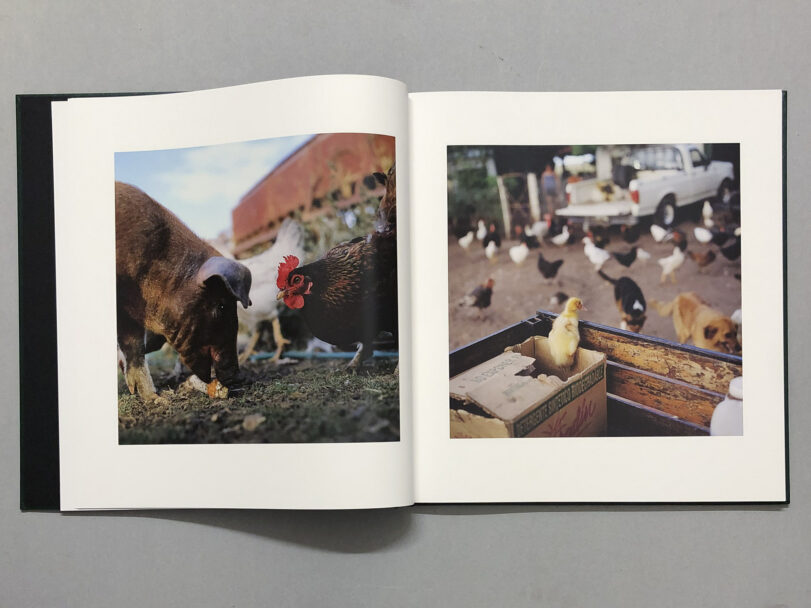 OnTheSixthDay_BeatricePuddu_4