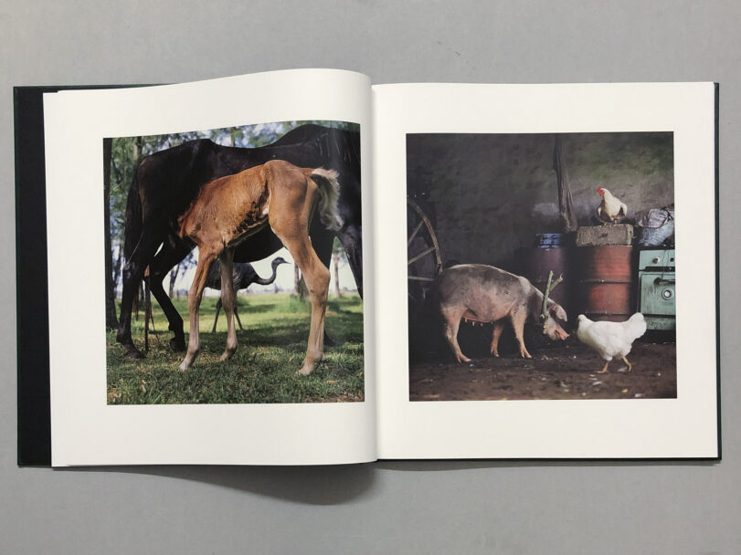 OnTheSixthDay_BeatricePuddu_5