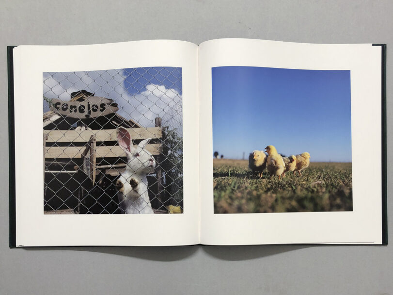 OnTheSixthDay_BeatricePuddu_9