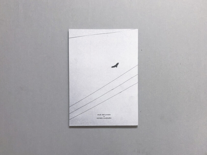 PiedraMovediza_BeatricePuddu