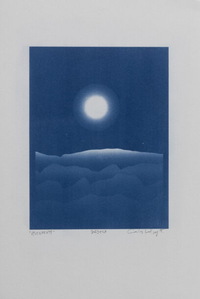 picaStampe_beatricepuddu_25