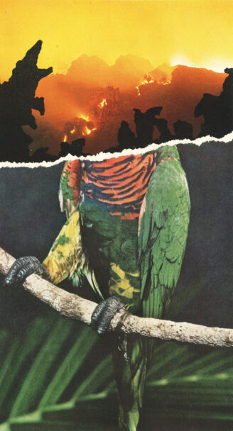 scan600dpi107edit copia 2