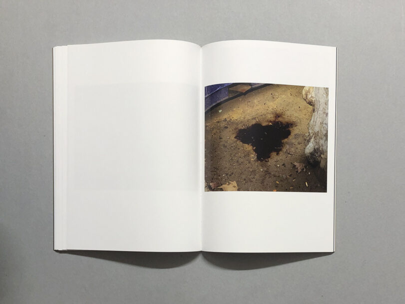 Dialect_BeatricePuddu_10