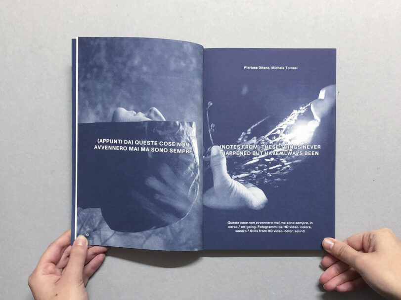 Opposizioni_BeatricePuddu_2